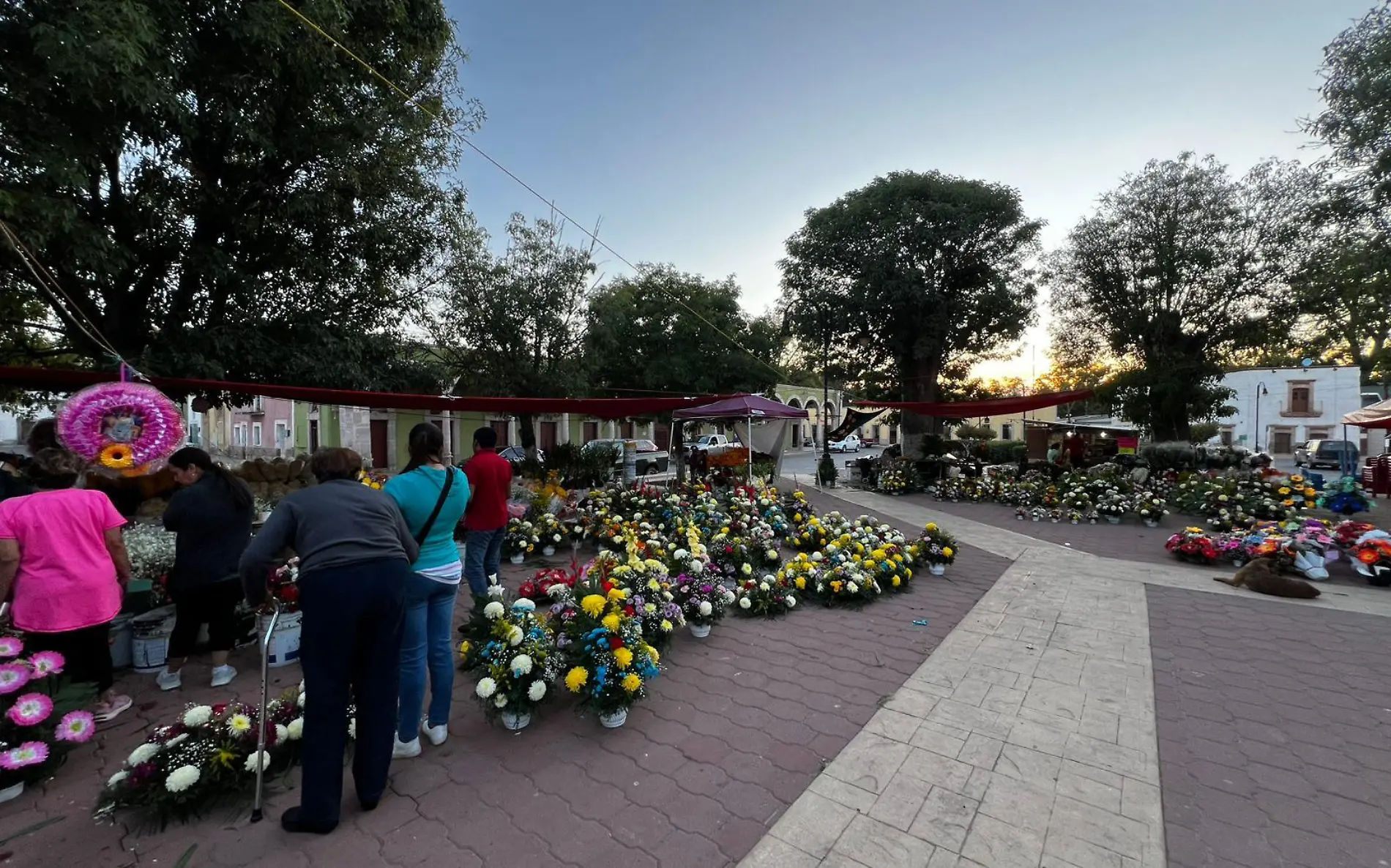 venta de flores en valle de allende